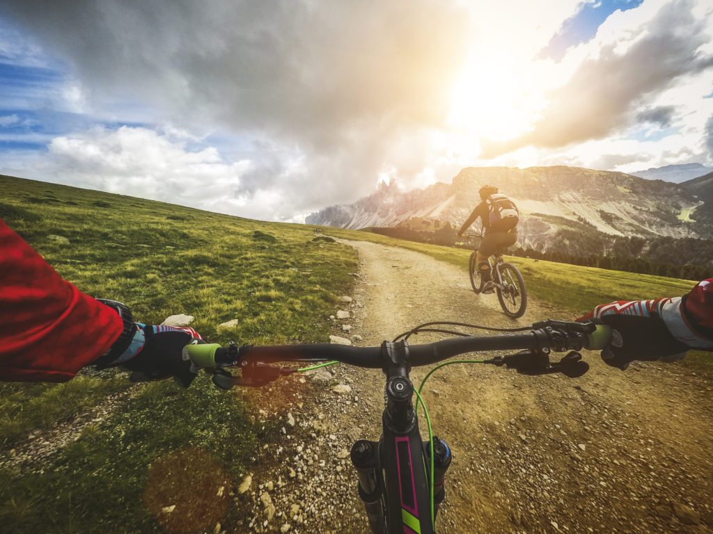 Mountain Bike: Single Trail in two - ProIQ - Market Smarter