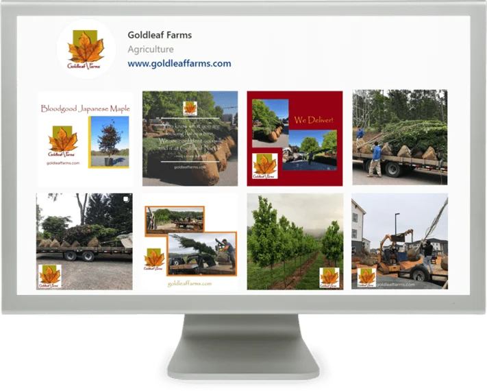 GLF Social Media Sample