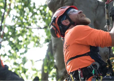 Localized Recruitment Marketing for a Tree Care Company