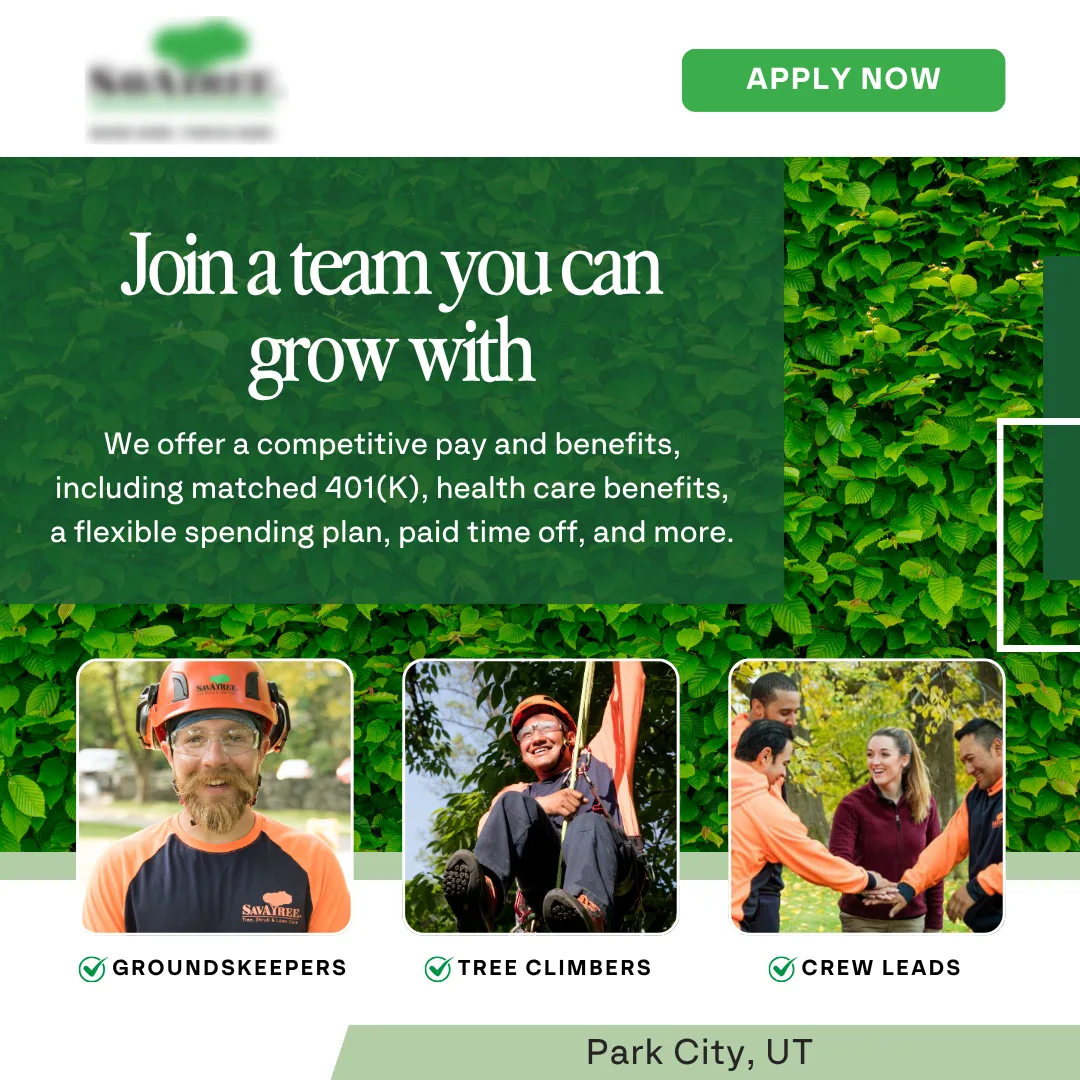 Leafy green recruitment banner with headline 'Join a team you can grow with' and benefits text; three rounded photos labeled Groundkeepers, Tree Climbers, Crew Leads; Park City, UT.
