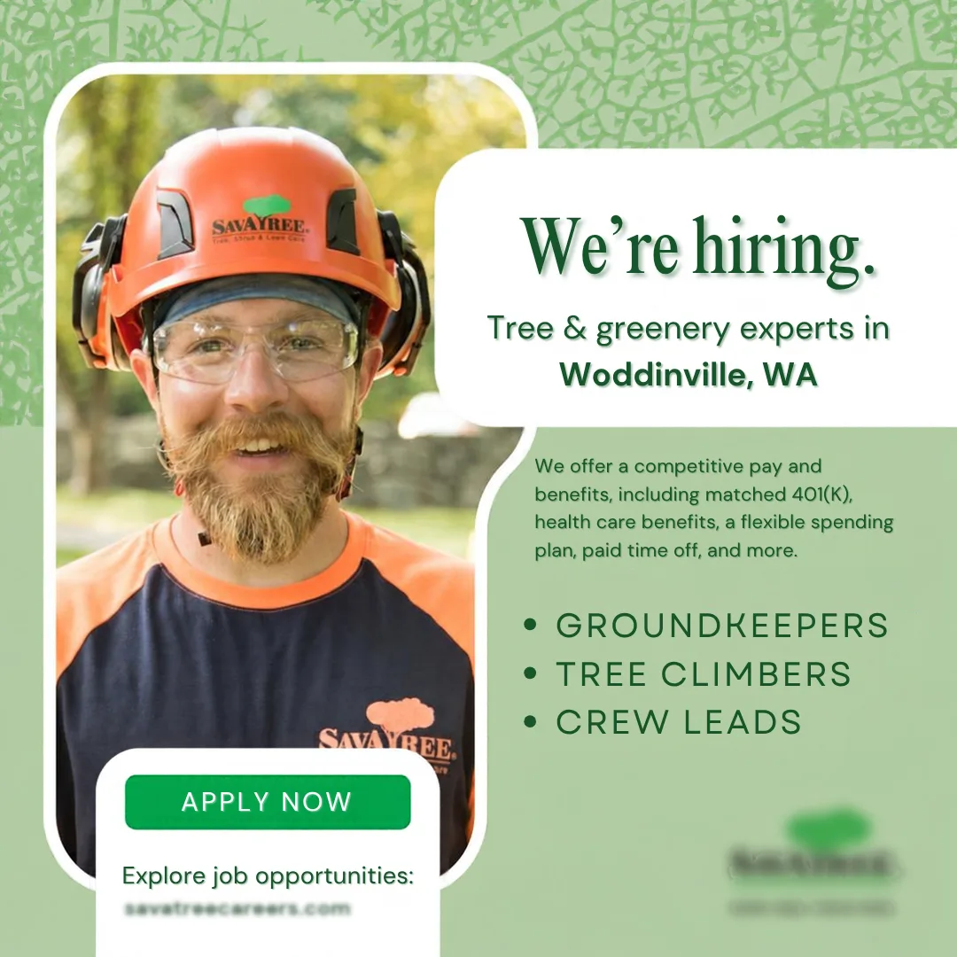 Hiring poster for SavATree: arborist in orange helmet with 'We're hiring' and list of tree jobs; includes 'Apply Now' callout.