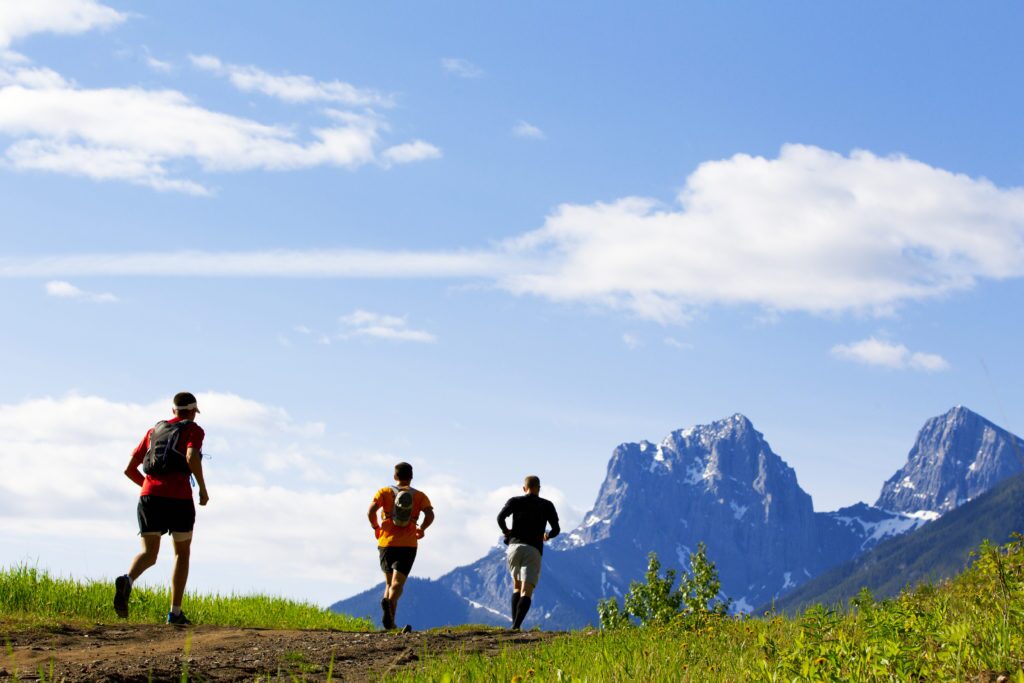 Trail Running Race - ProIQ - Market Smarter