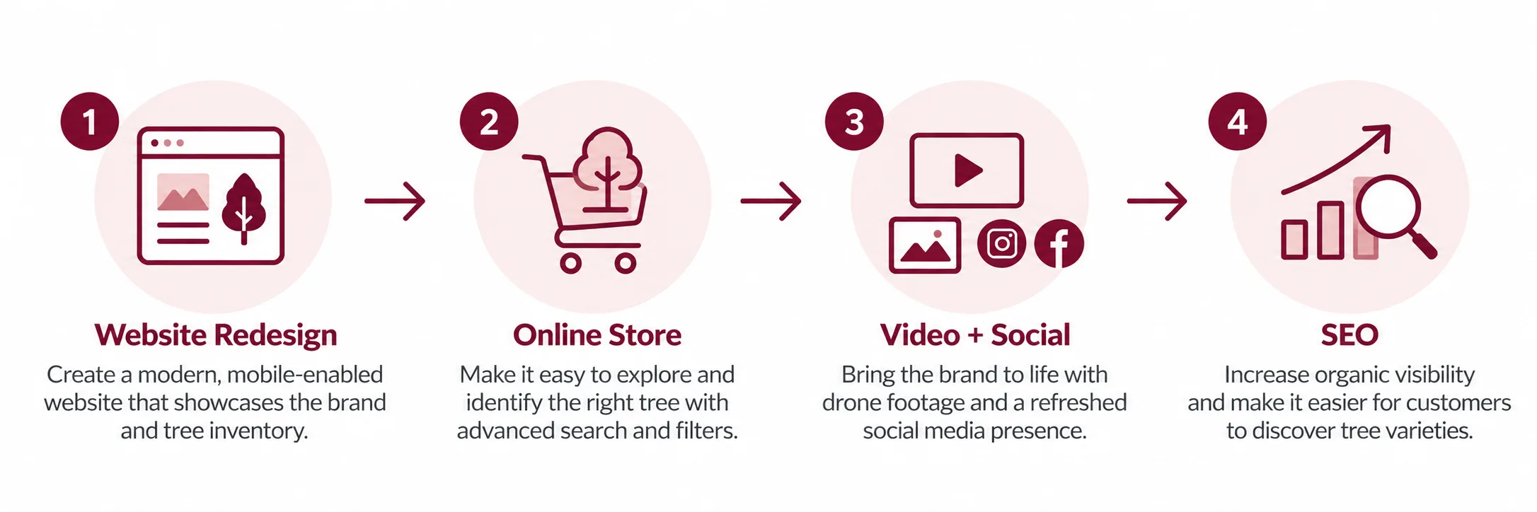 Four-Step Tree Brand Growth Strategy - ProIQ - Market Smarter Infographic titled The Recruitment Strategy showing four steps: Targeted Social Media Advertising, USPS Direct Mail Campaigns, Billboard Advertising, and Campaign Optimization.